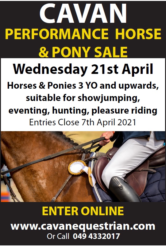 Cavan Equestrian & Performance Horse & Pony Sales