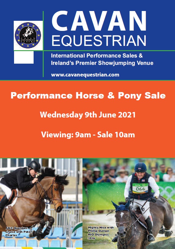 Cavan Equestrian & Performance Horse & Pony Sales