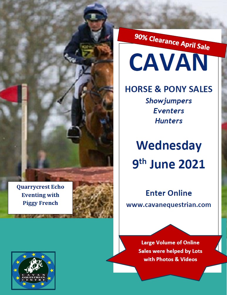 Cavan Equestrian & Performance Horse & Pony Sales