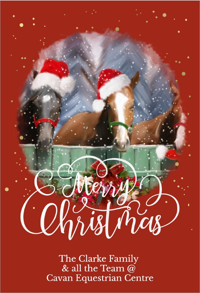 Cavan Equestrian & Performance Horse & Pony Sales